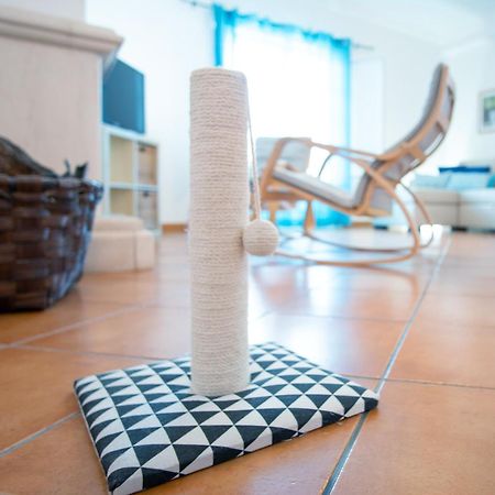Pe Na Areia By Stay In Alentejo Vila Nova de Milfontes Εξωτερικό φωτογραφία